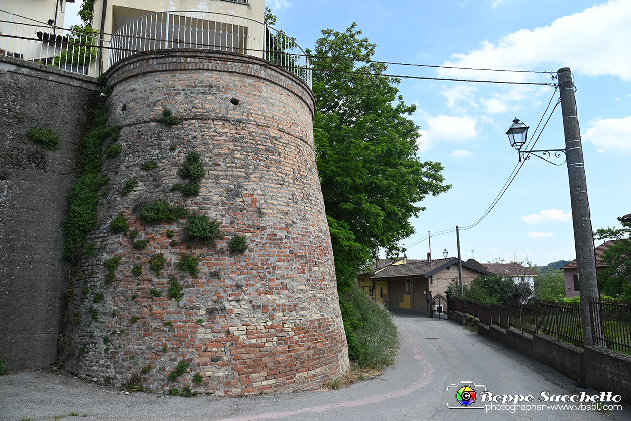 VBS_3727 - Fontanile (Asti) - Murales di Luigi Amerio.jpg